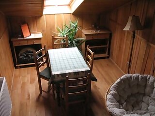 Tolgyfakucko Apartman Baja szállás