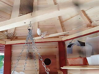 Kali Apartman Bakonybel szállás
