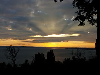 Rick Apartman Balatonaliga szállás