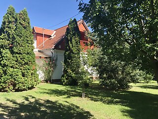 Hortenzia Apartman Balatonfoldvar szállás