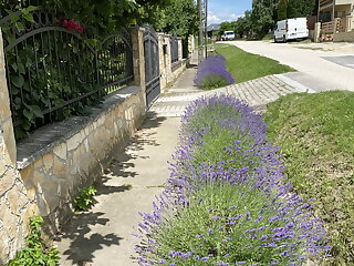 Balaton Family Apartman 2 Balatonfuzfo szállás