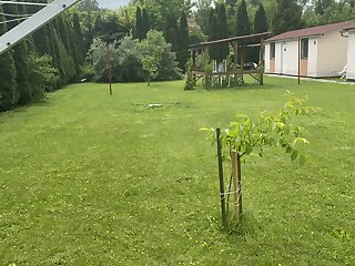 Napraforgo Apartmanok Balatonfuzfo szállás