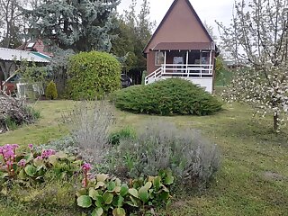 Pedro Lak Apartman Balatonkenese szállás