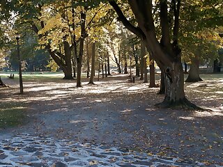 Vizeses Apartman Paradfurdo szállás