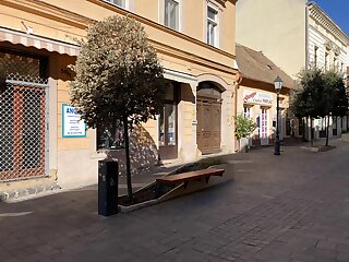 Feher Feszek Apartman Pecs szállás