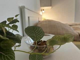 R59 Apartman Pecs szállás