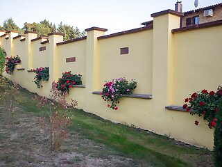 Kondics Apartman Sarvar szállás