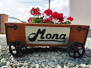 Mona Apartman Sarvar szállás