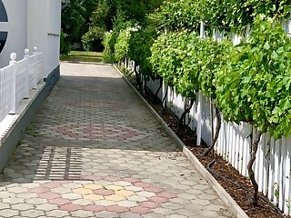Sunlight Apartmanhaz Siofok szállás