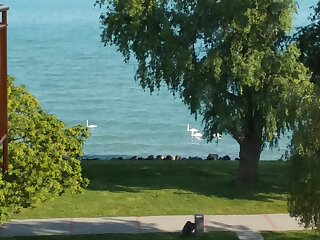 Aquatoria Apartman Siofok szállás
