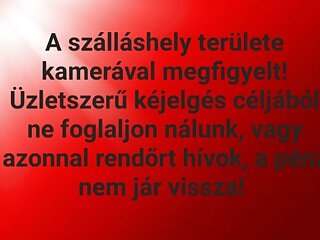 Rovin Apartman Siofok szállás