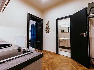 Soho Apartmanok Szeged szállás