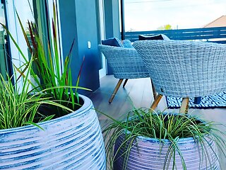 Pe Ki Uzleti Apartman Szekesfehervar szállás
