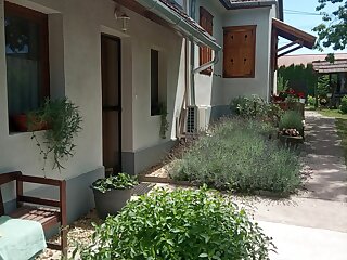 Klara Apartman Szentkozmadombja szállás