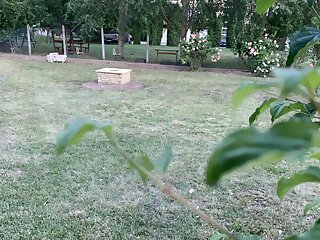 Feszek Apartmanok Tiszafured szállás