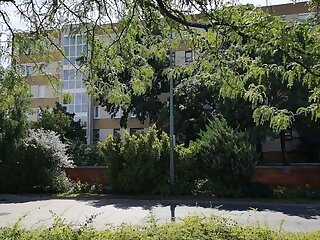 Kata Belvarosi Apartman Veszprem szállás