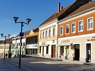 Sarolt Apartman Veszprem szállás