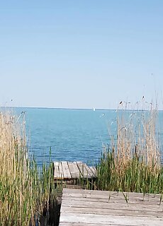 Coastline Balaton Apartman Alsoors