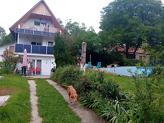 Motoros Barat Apartman Zebegeny szállás