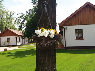 Toth Vendeghaz Es Apartmanhaz Ujfeherto szállás
