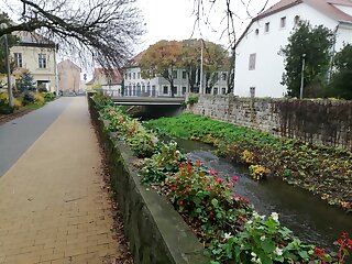 Tulip Family Apartment Eger szállás