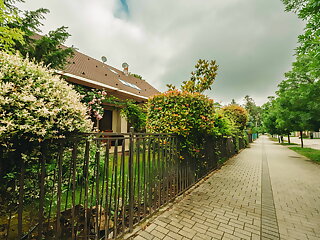 D6 Apartments Siofok szállás