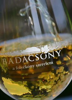 Fazekas Csaladi Apartman Badacsony