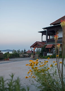 Georgina Panoramas Apartman Bacchus Badacsony