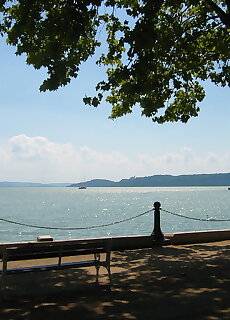 Fuzfa Apartman Balatonalmadi