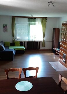 Tulman Apartman Balatonbereny