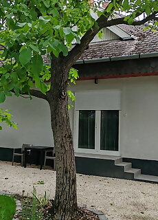 Paszer 2 Apartman Balatonboglar