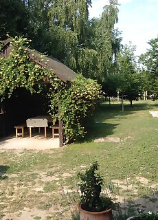 Bibi Apartmanhaz Balatonboglar