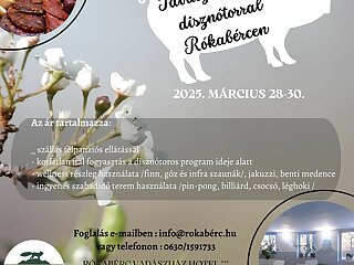 Rokaberc Vadaszhaz Hotel Erdobenye szállás
