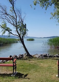 Apartmanhaz Fenyves Balatonfenyves