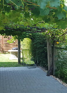 Tavasz Apartman Balatonfenyves