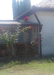 Csokonai Apartman Balatonfenyves