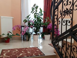 Hotel Isabell Gyor szállás