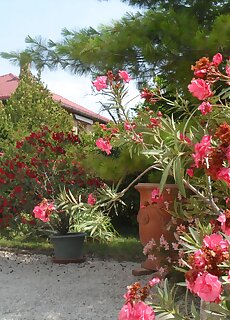 Csaladi Piheno Apartman Balatonfured