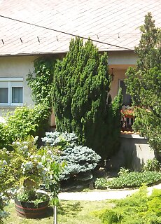 Szabolcs Apartman Balatonfured
