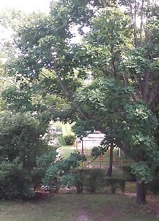 Napfeny Apartman Balatonfured