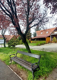 Delta Inn Apartmanok Balatonfured