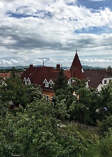 Vadrozsa Apartman Balatonfured