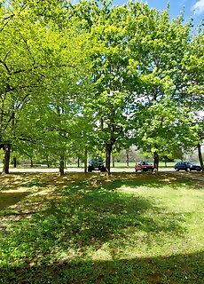 Sunny Garden Apartman Balatonfured