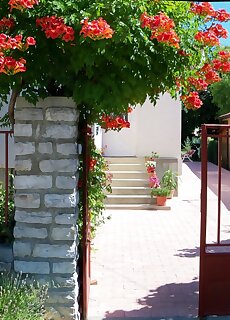 Csokolom Apartman Balatonfured