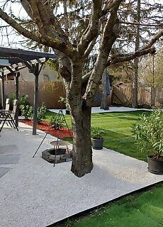 M Es M Balatoni Apartman Balatonkenese
