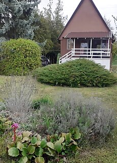 Pedro Lak Apartman Balatonkenese