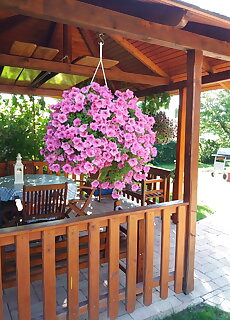 Apartman Eva Elso Balatonlelle