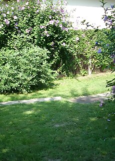 Zsuzsanna Vizkozeli Kertes Apartman Balatonlelle
