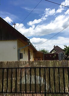 Fekete Gekko Apartman Balatonlelle