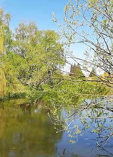 Elizabet Apartman Balatonmariafurdo